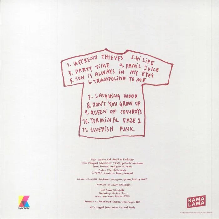 Back cover — KINDSIGHT — Swedish Punk
