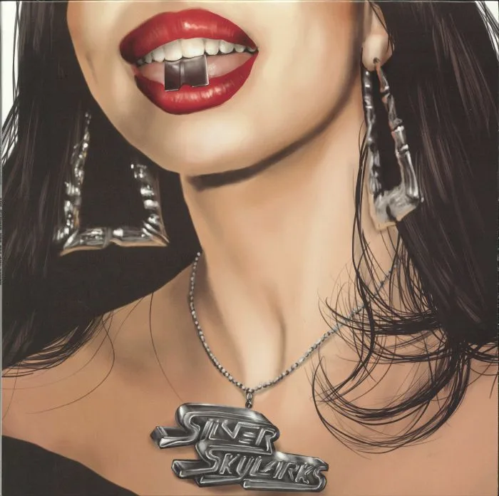 SILVER SKYLARKS — The Number One Set & Sound