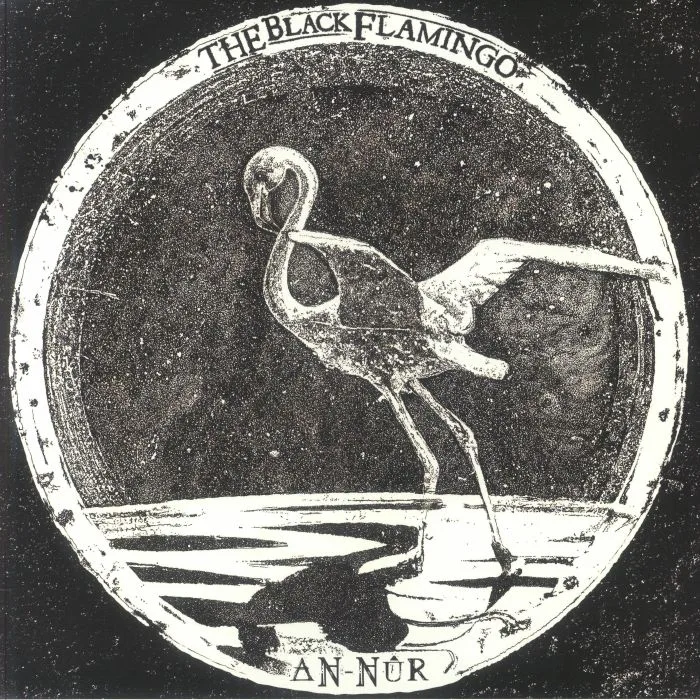 The BLACK FLAMINGO — An Nur