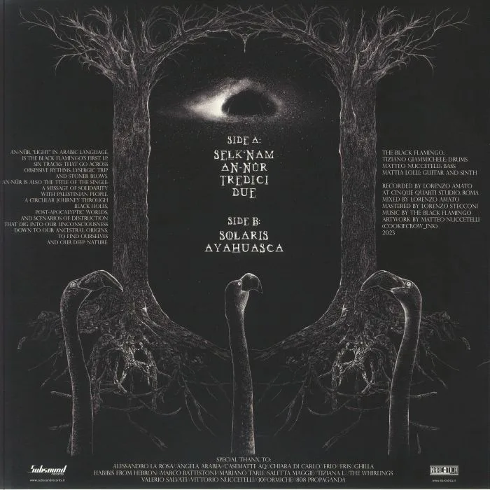 Back cover — The BLACK FLAMINGO — An Nur