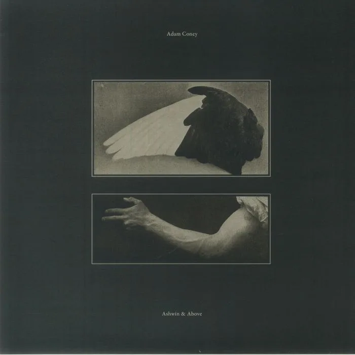Adam CONEY — Ashwin & Above
