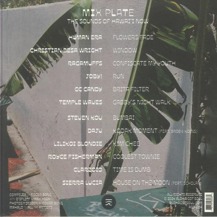 Обратная сторона обложки — VARIOUS — Mix Plate
