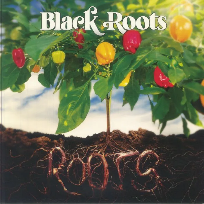 BLACK ROOTS — Roots (Record Store Day RSD 2025)