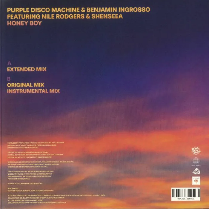 Back cover — PURPLE DISCO MACHINE / BENJAMIN INGROSSO / NILE RODGERS / SHENSEEA — Honey Boy (B-STOCK)