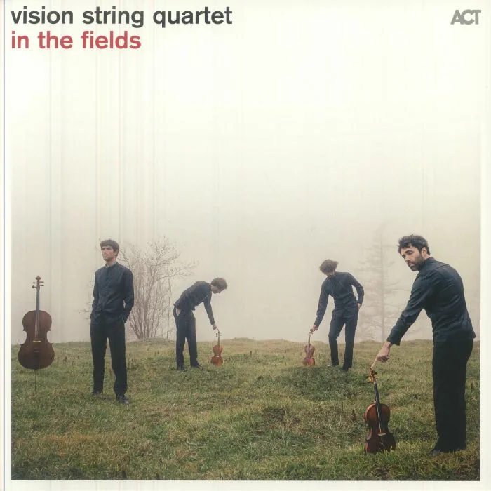 VISION STRING QUARTET — In The Fields