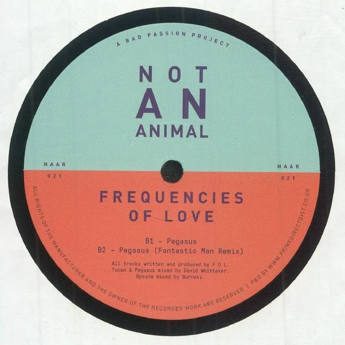 Back cover — FREQUENCIES OF LOVE — Frequencies Of Love