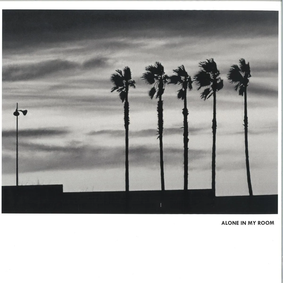 ALONE IN MY ROOM — II LP