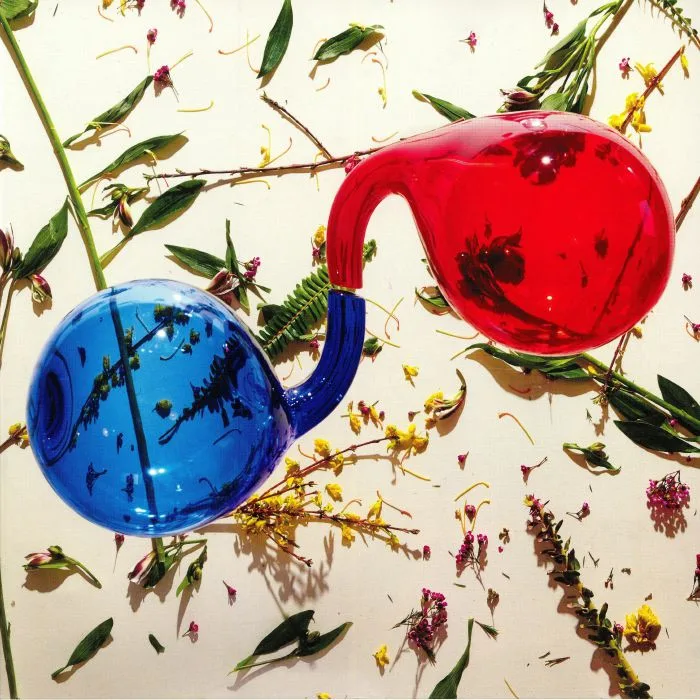 DIRTY PROJECTORS — Lamp Lit Prose