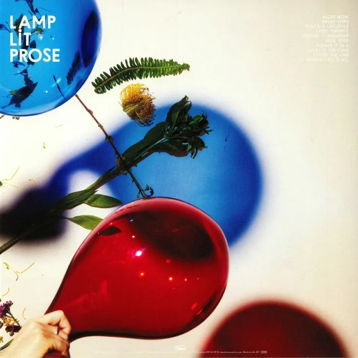 Обратная сторона обложки — DIRTY PROJECTORS — Lamp Lit Prose