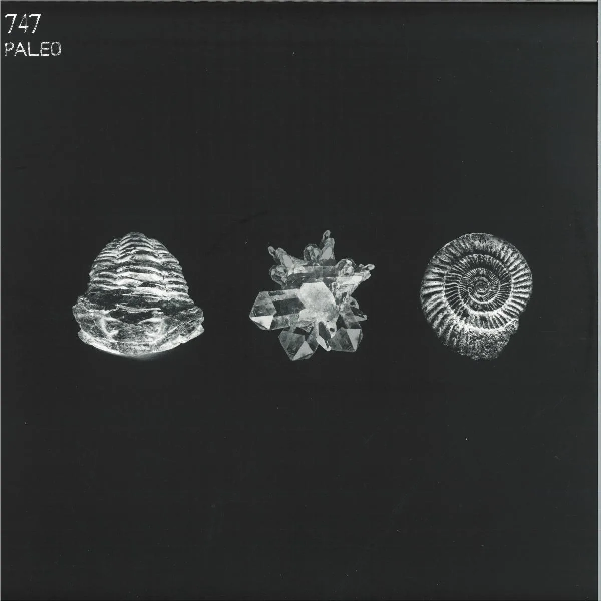 747 — Paleo 2x12"