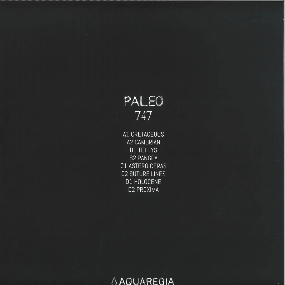 Обратная сторона обложки — 747 — Paleo 2x12"