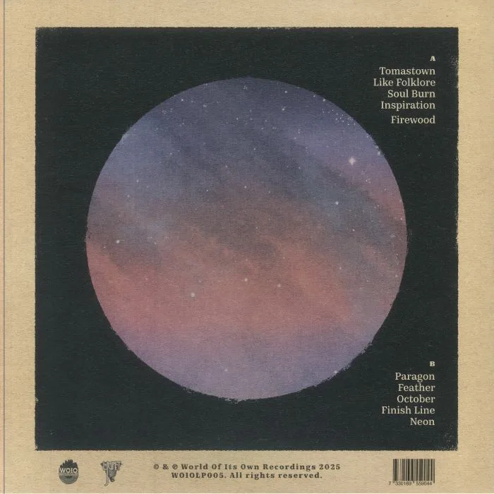Back cover — TINGSEK — Lights Out Association