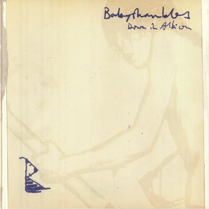 BABYSHAMBLES — Down In Albion (20th Anniversary Edition)