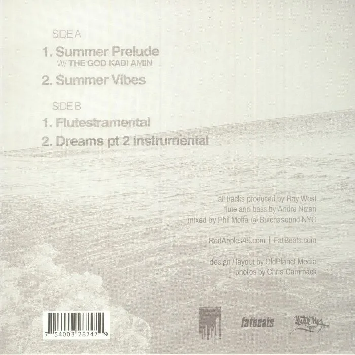 Back cover — Ray WEST feat BLU / BREEZE BREWIN / PLAYA HAZE / NELSON DIALECT — Summer Vibes