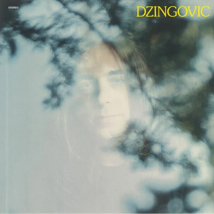 DZINGOVIC — Dzingovic