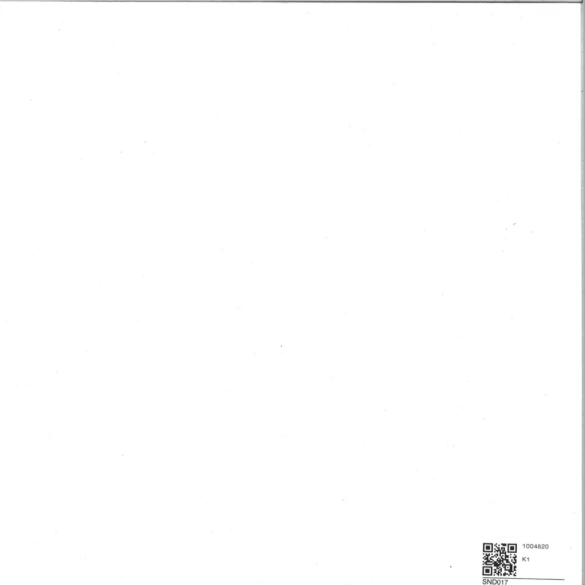 Back cover — Fumiya Tanaka — One More Thing (Second Part) 2x12"