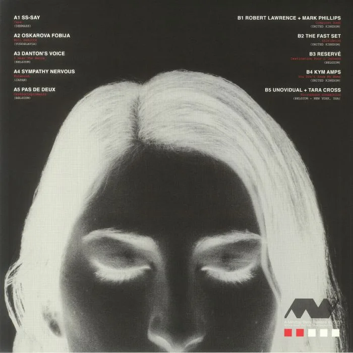 Back cover — VARIOUS — The Hidden Tapes: A Compilation Of Minimal Wave From Around The World '79-'85