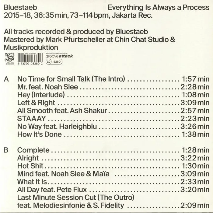 Back cover — BLUESTAEB — Everything Is Always A Process