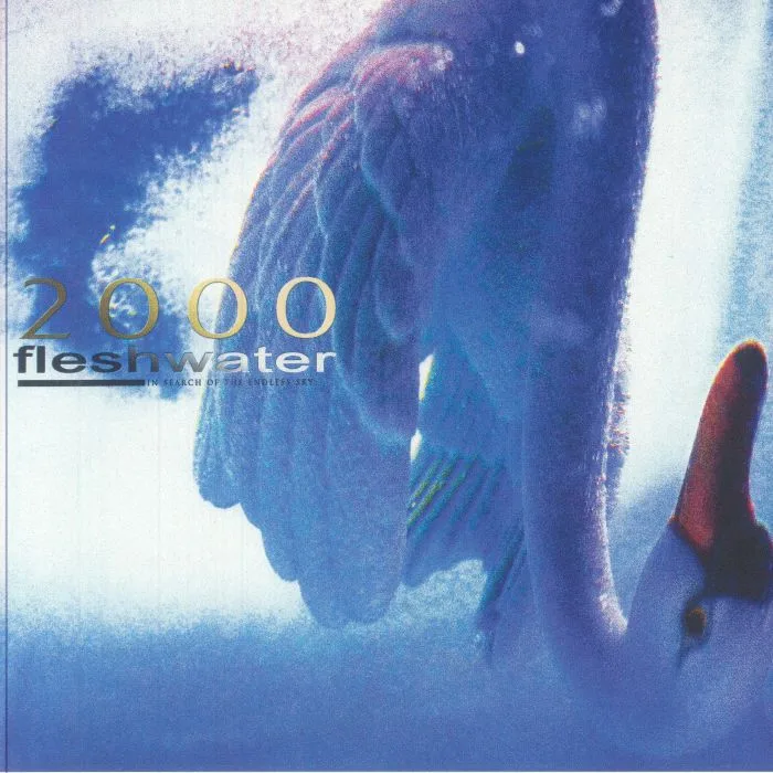 FLESHWATER — 2000: In Search Of The Endless Sky