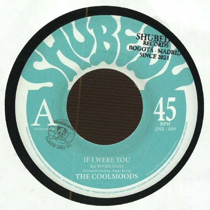 The COOLMOODS — If I Were You
