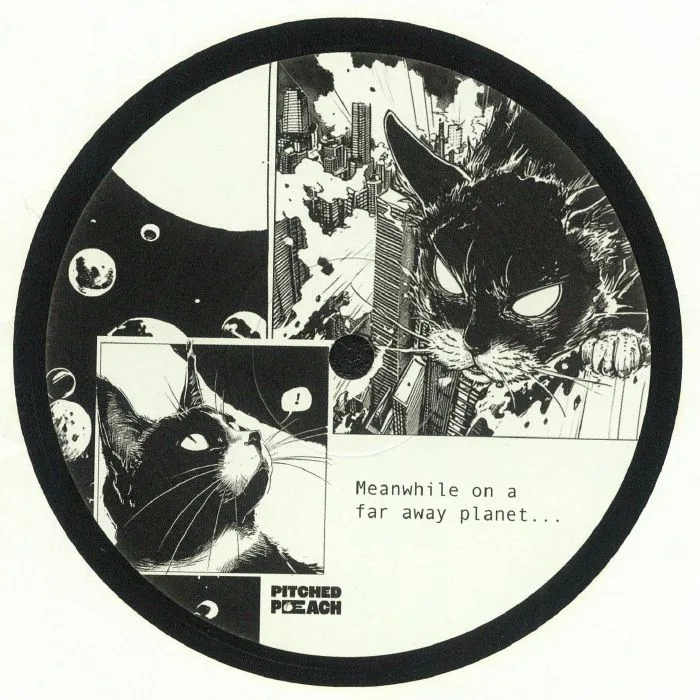 Front cover — Darwin CHAMBER — Cat Daddy