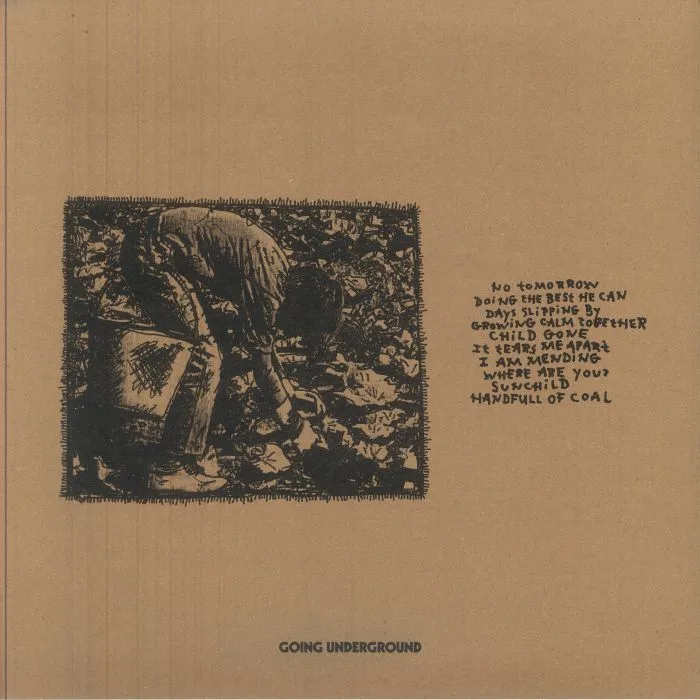 Обратная сторона обложки — The PINE — Days Slipping By (remastered)