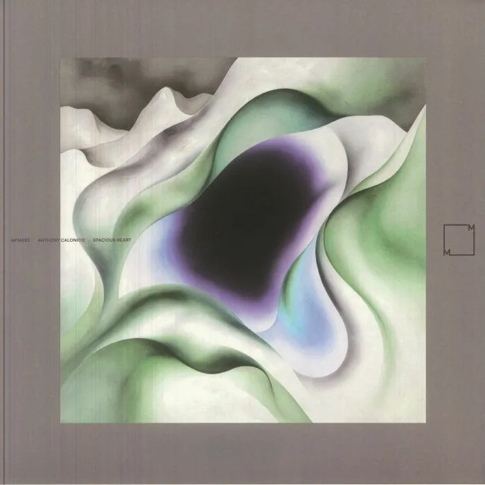 Front cover — Anthony CALONICO — Spacious Heart