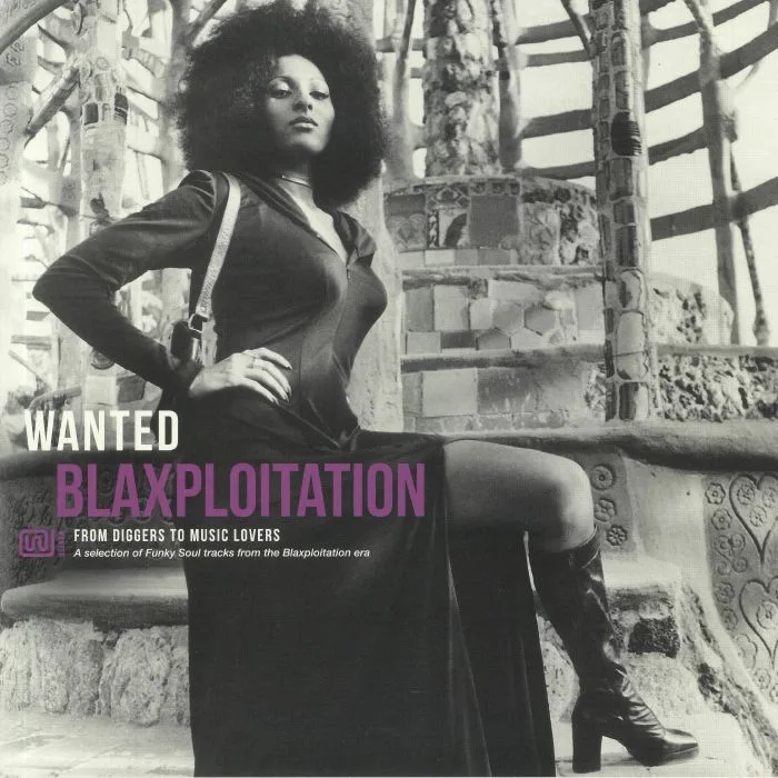 VARIOUS — Wanted Blaxploitation