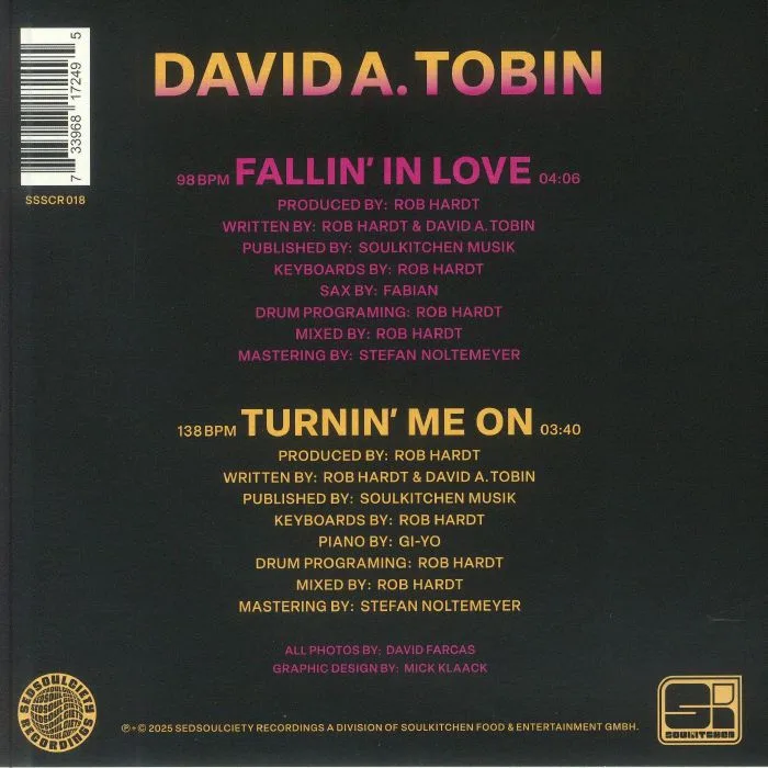 Обратная сторона обложки — David A TOBIN — Fallin' In Love