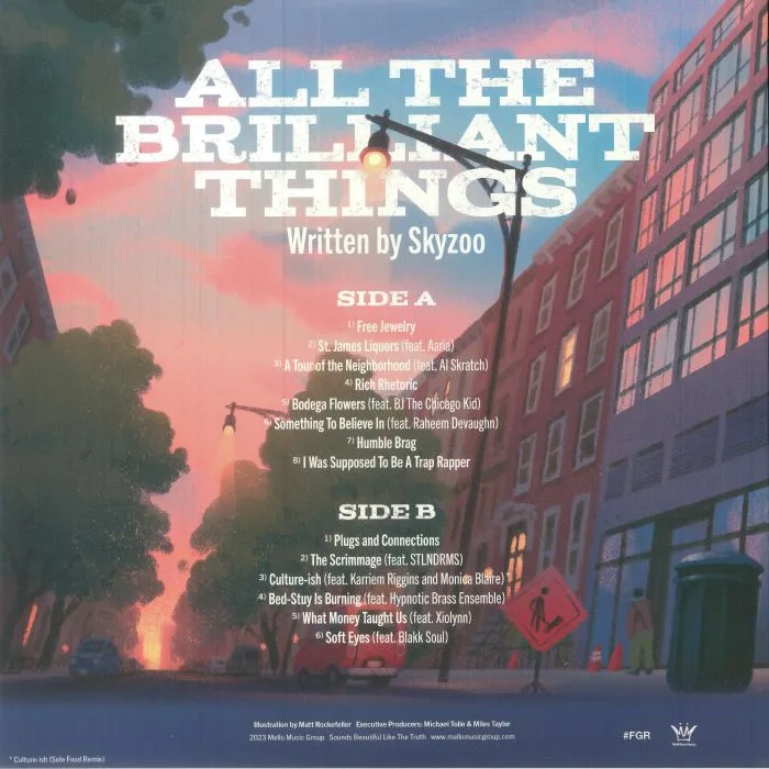 Back cover — SKYZOO — All The Brilliant Things