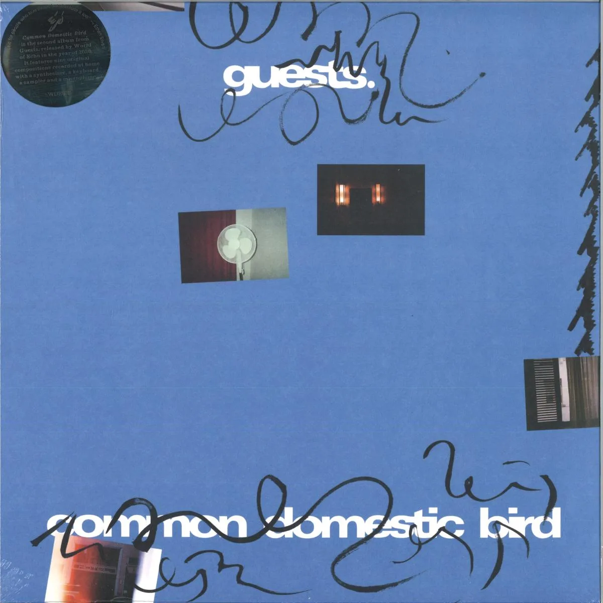 Guests — Common Domestic Bird LP