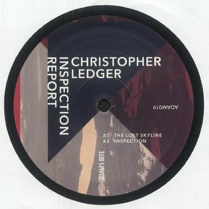 Лицевая сторона обложки — Christopher LEDGER — Inspection Report