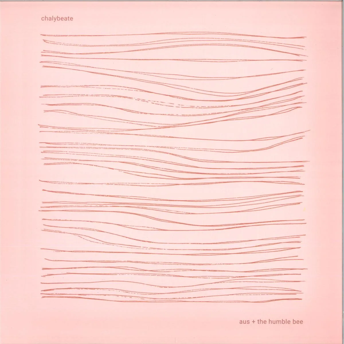 aus & The Humble Bee — Chalybeate LP