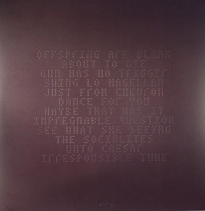 Back cover — DIRTY PROJECTORS — Swing Lo Magellan