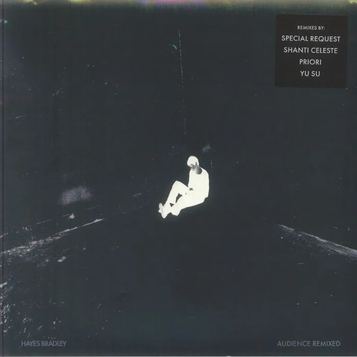 Hayes BRADLEY — Audience: Remixed