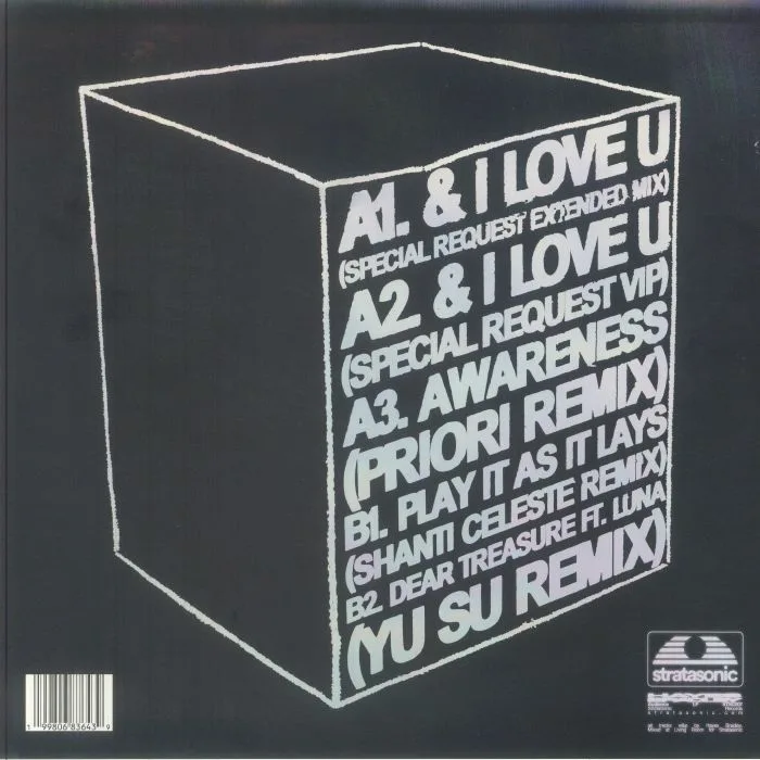 Back cover — Hayes BRADLEY — Audience: Remixed