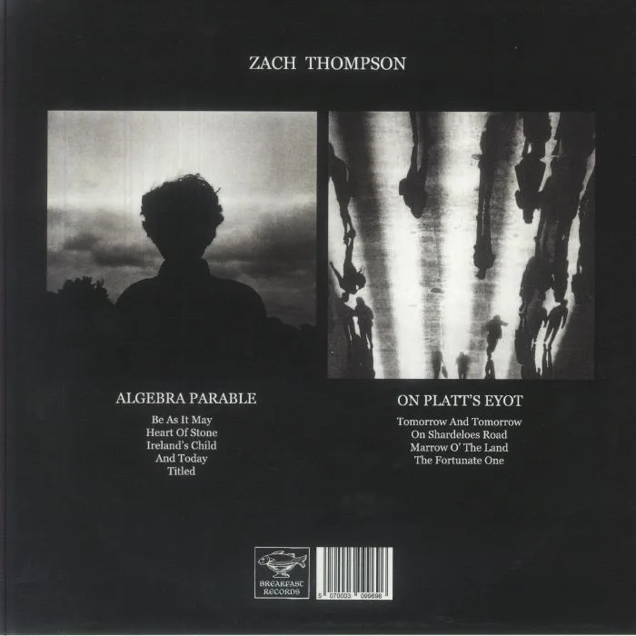 Back cover — Zach THOMPSON — Algebra Parable