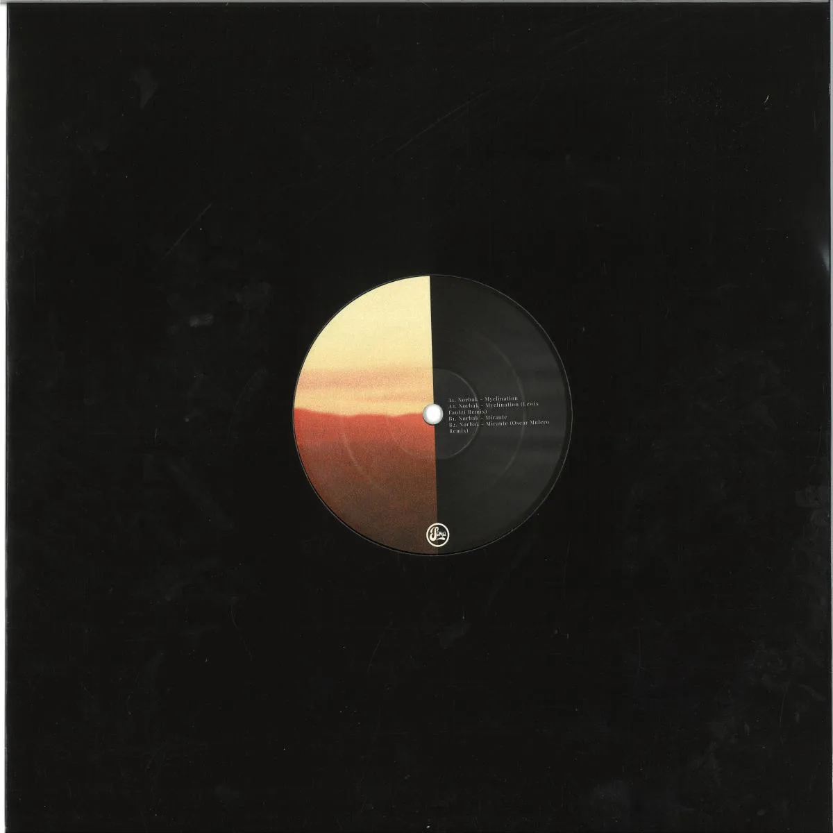 Back cover — Nørbak — Myelination