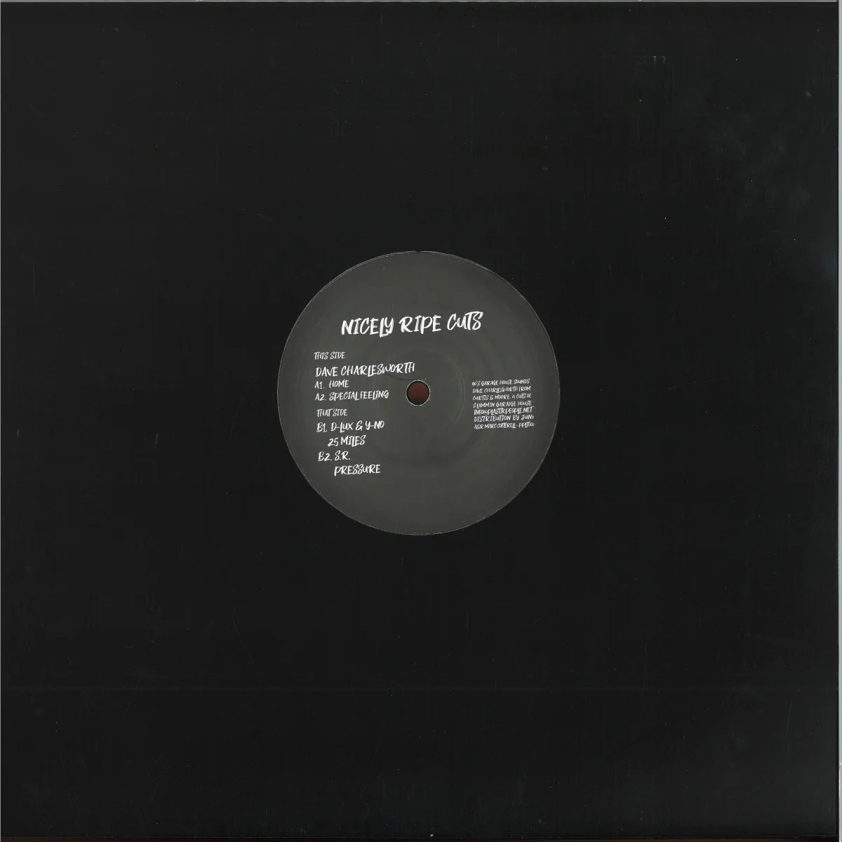 Back cover — Dave Charlesworth/D Lux/Y No/S R — Nicely Ripe Cuts