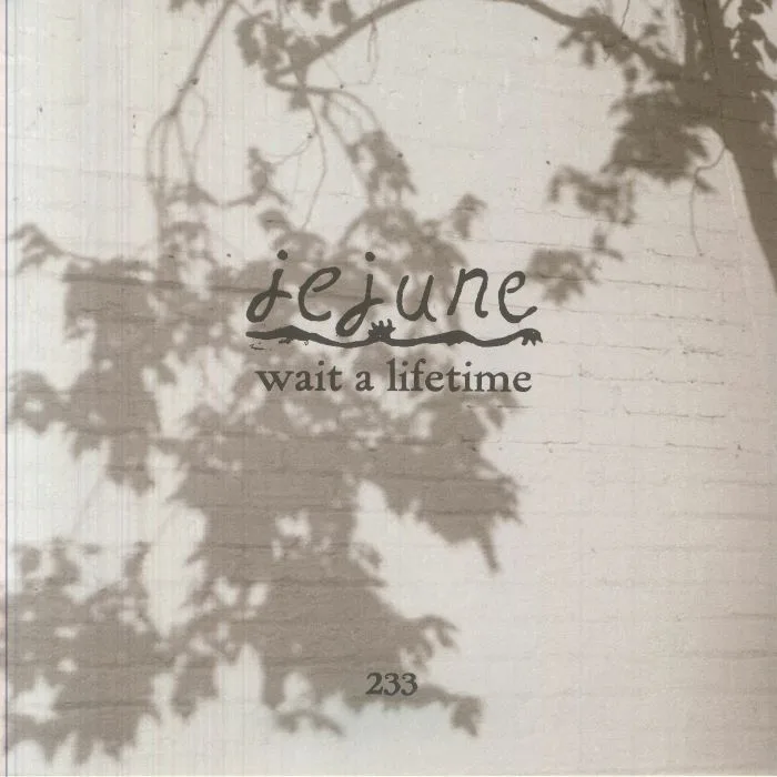 Back cover — JEJUNE — Wait A Lifetime