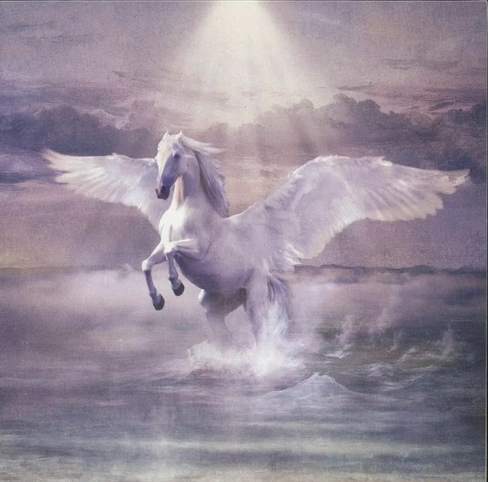COSMO — Sulle Ali Del Cavallo Bianco