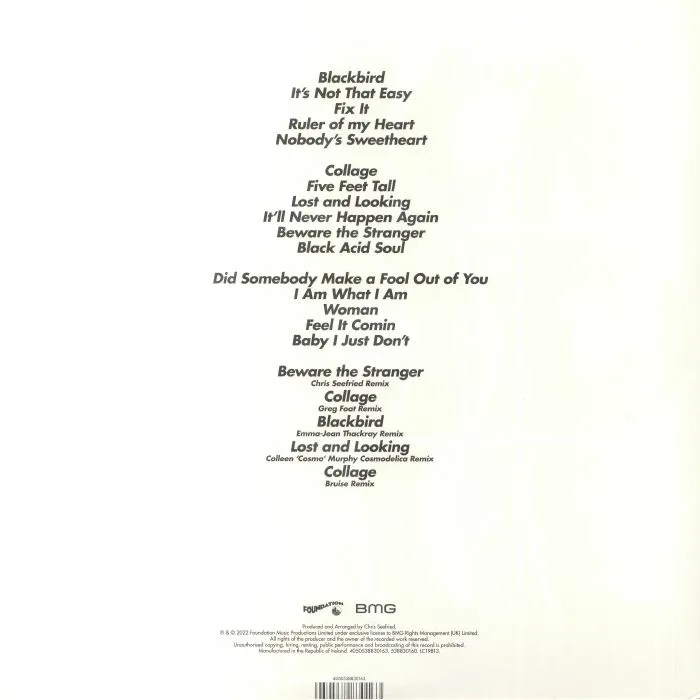Back cover — LADY BLACKBIRD — Black Acid Soul (Deluxe Edition)