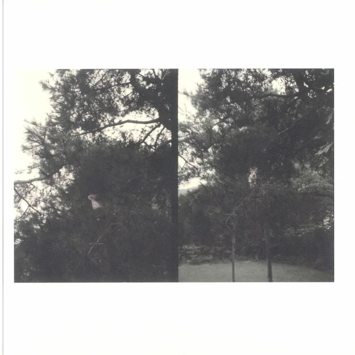 Okkyung LEE — Just Like Any Other Day: Background Music For Your Mundane Activities
