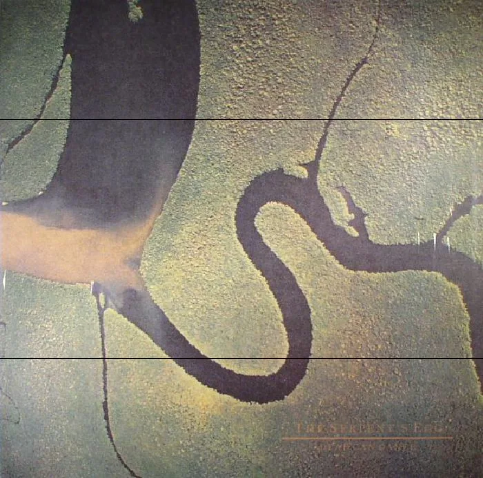DEAD CAN DANCE — The Serpent's Egg (remastered)