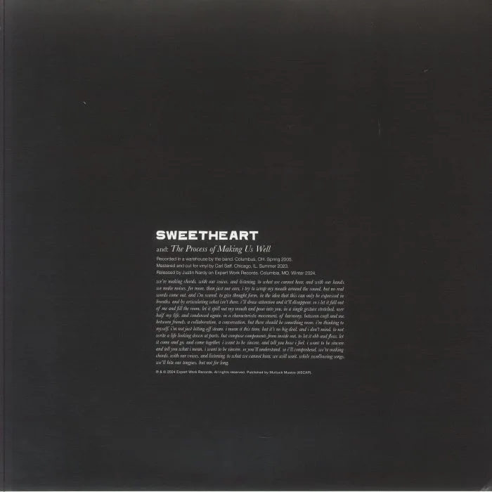 SWEETHEART — The Process Of Making Us Well
