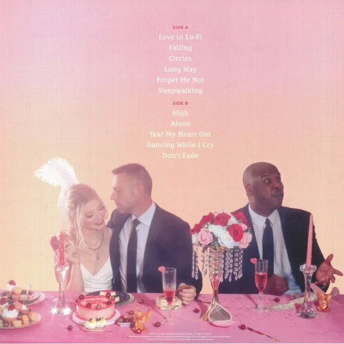 Back cover — Chayla HOPE — Damn Feelings