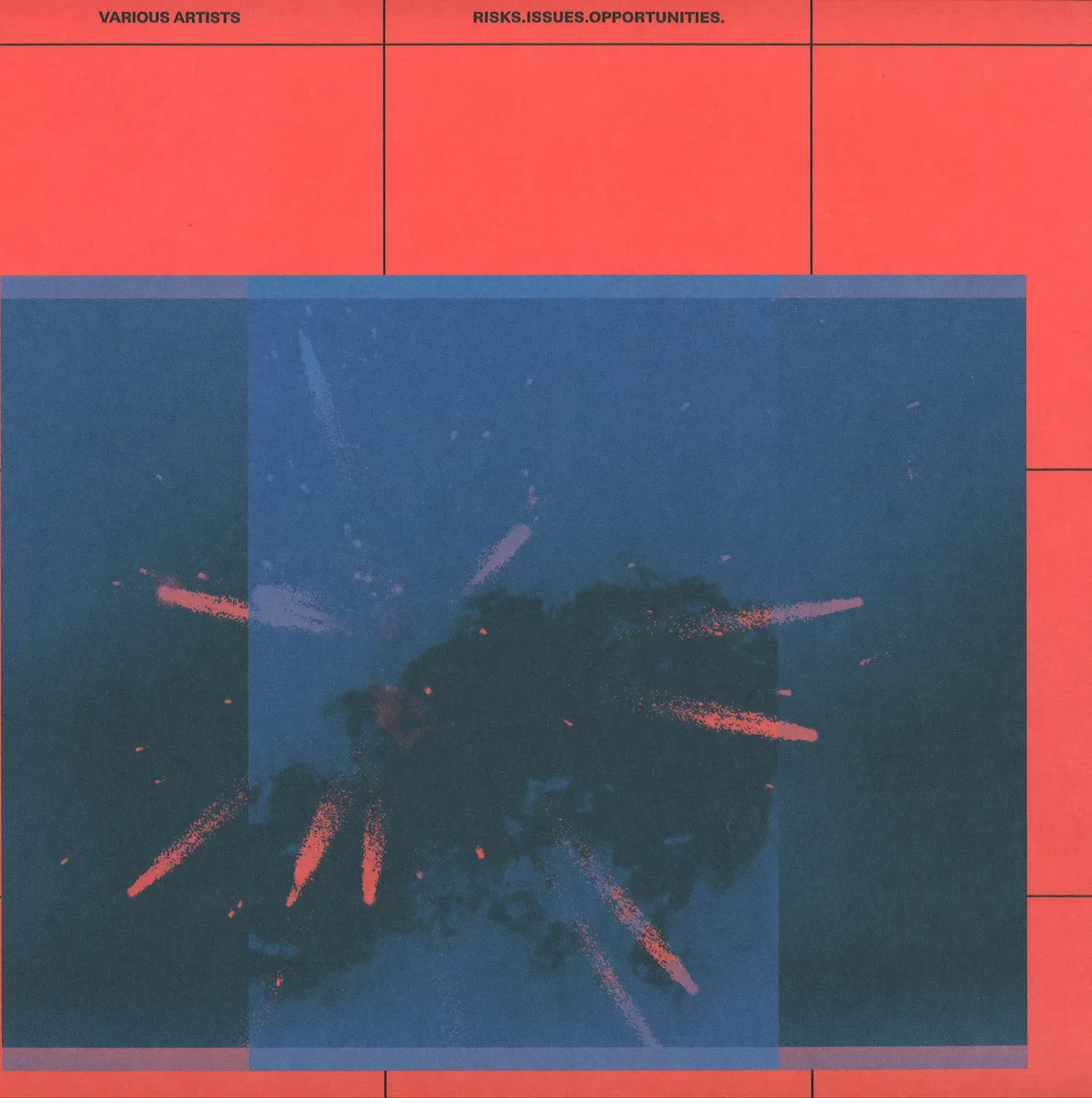 Various — RISKS ISSUES OPPORTUNITIES LP