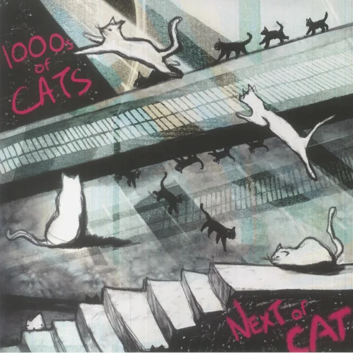 1000S OF CATS — Next Of Cat