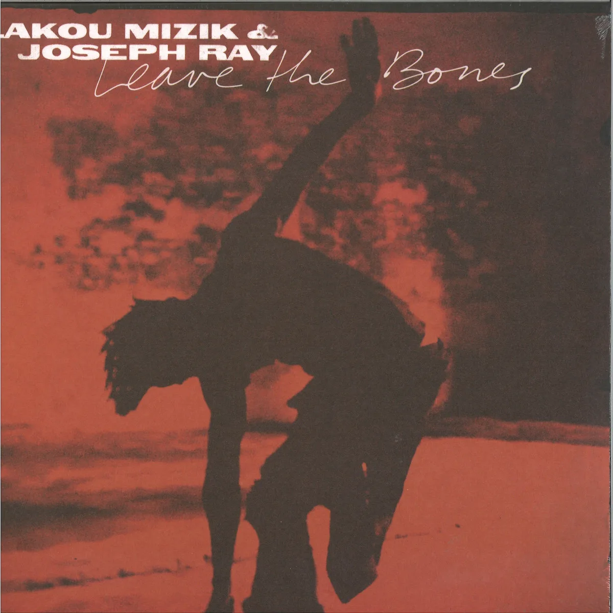 Lakou Mizik&Joseph Ray — Leave The Bones