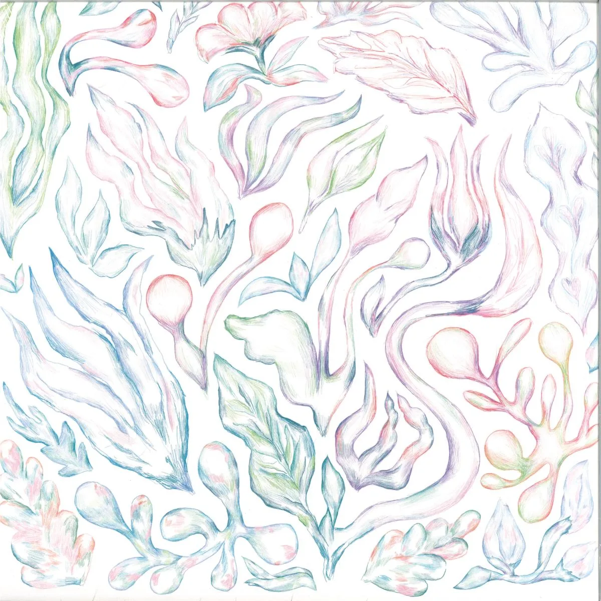 Обратная сторона обложки — Various — Plants Can Dance: Curated by Auntie Flo LP